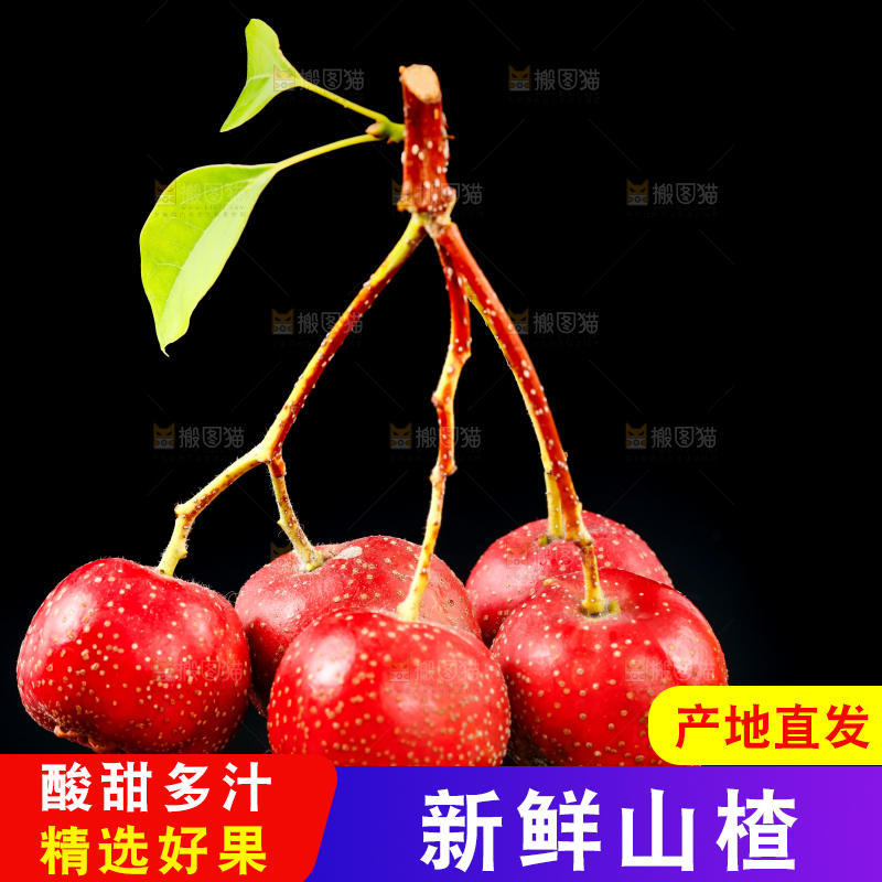 黑底上的山楂果