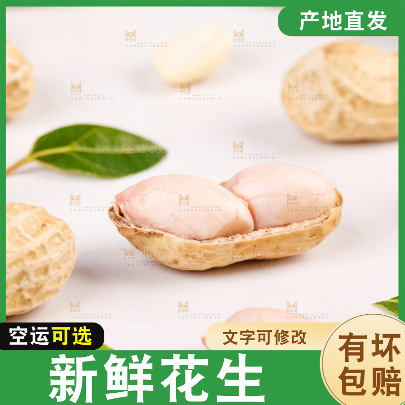 白底上的生花生