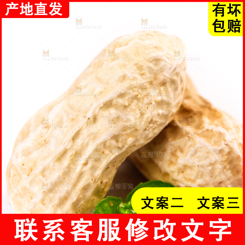 白底上的湿花生