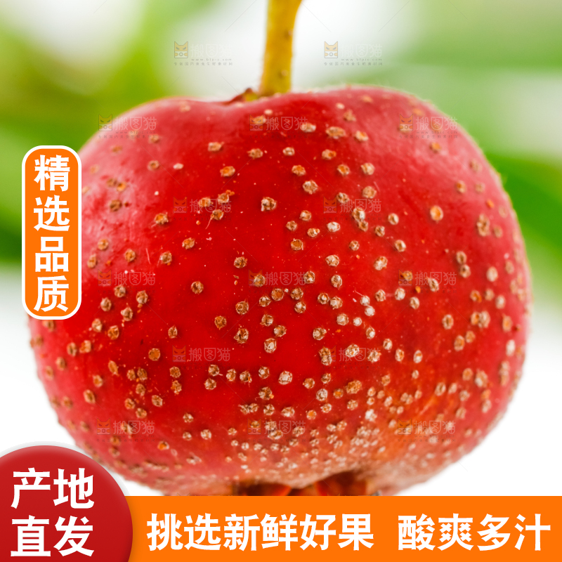 白底上的山楂