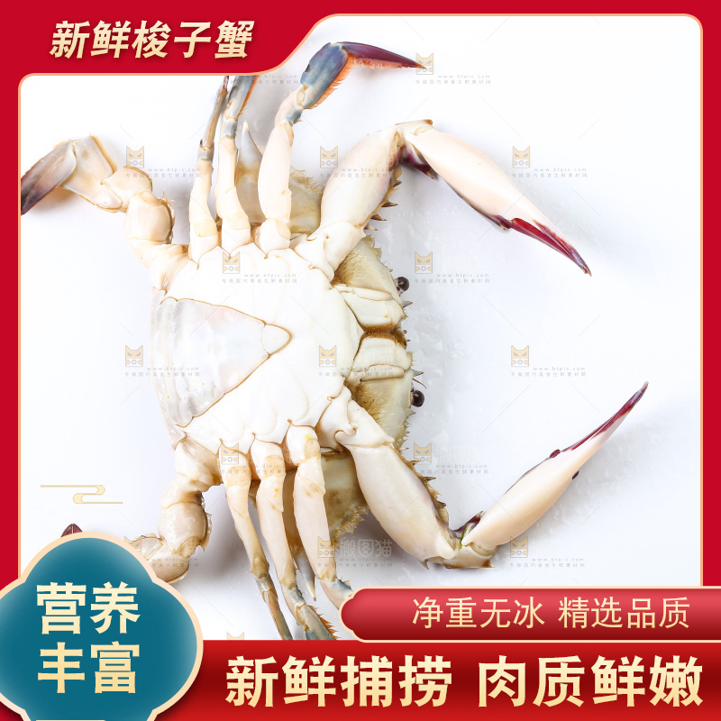 白底上摆放着海蟹