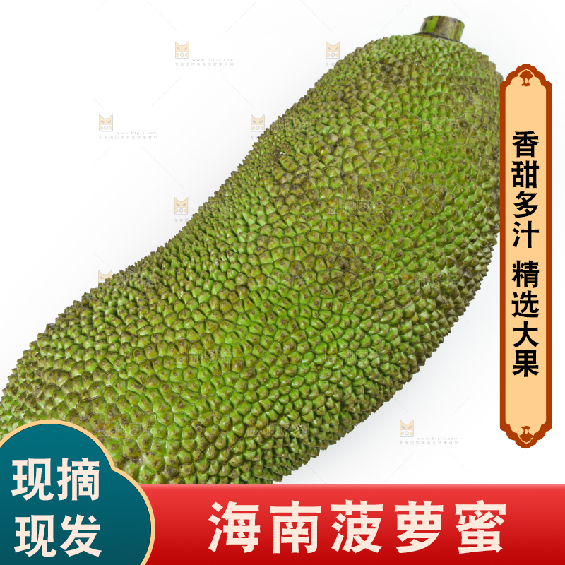 白底上放着一个完整的菠萝蜜