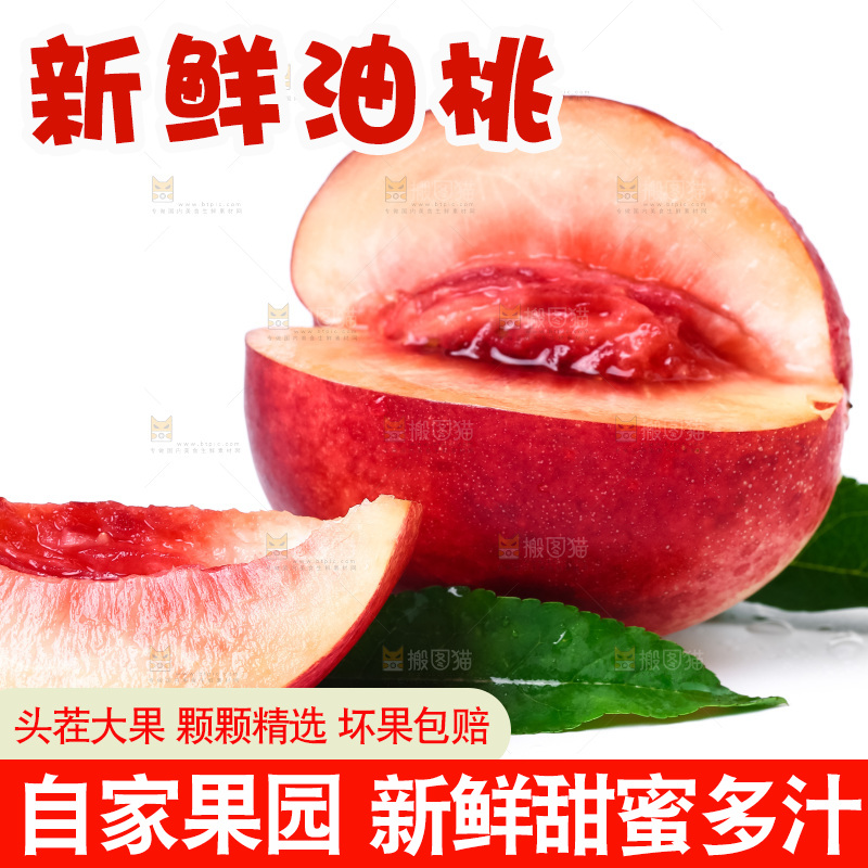 白底上摆放着新鲜油桃