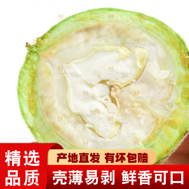 手里拿着青核桃