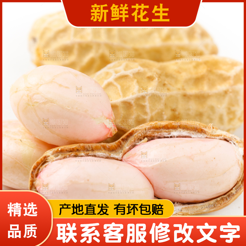 白底上的湿花生和花生米