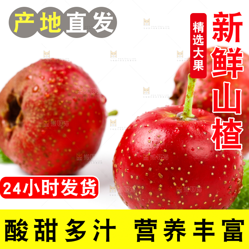 白底上的山楂果