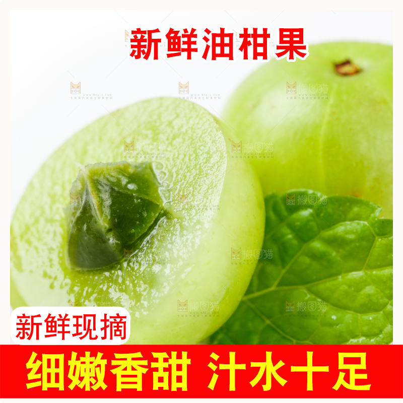 白底上的余甘果