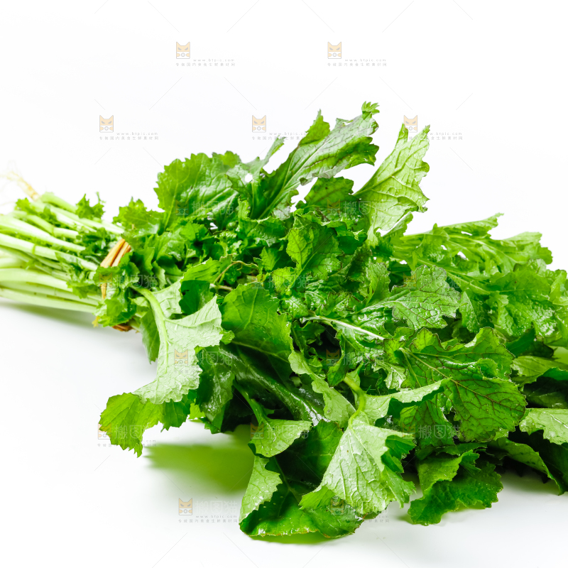 白底上的腊菜