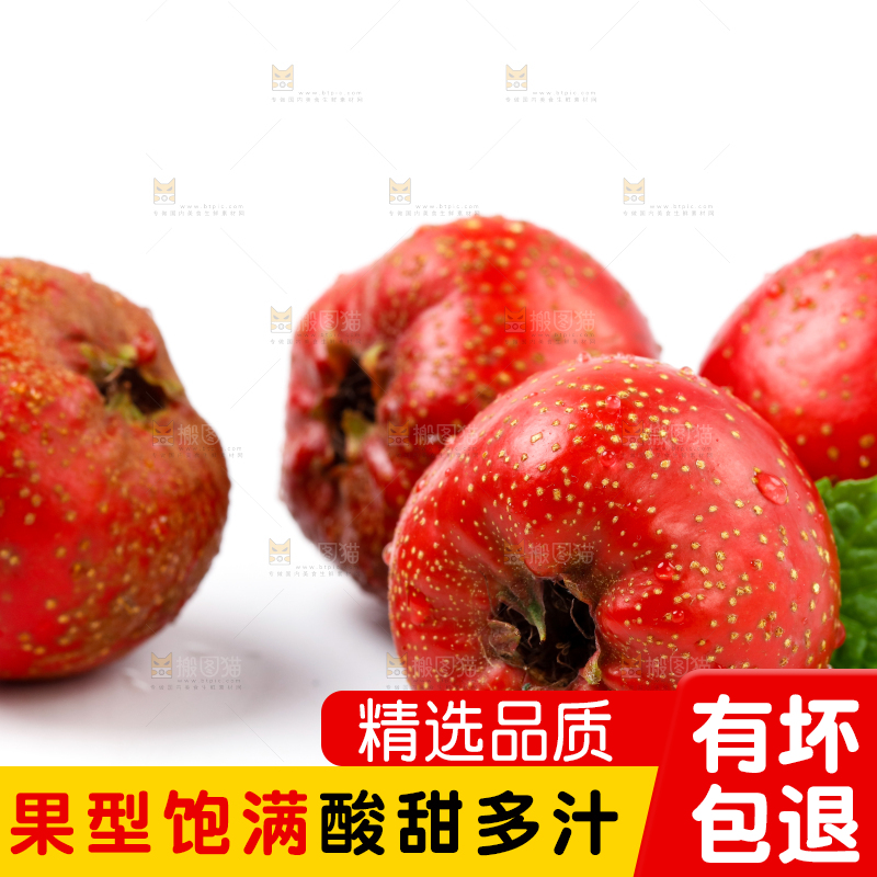 白底上的山楂果