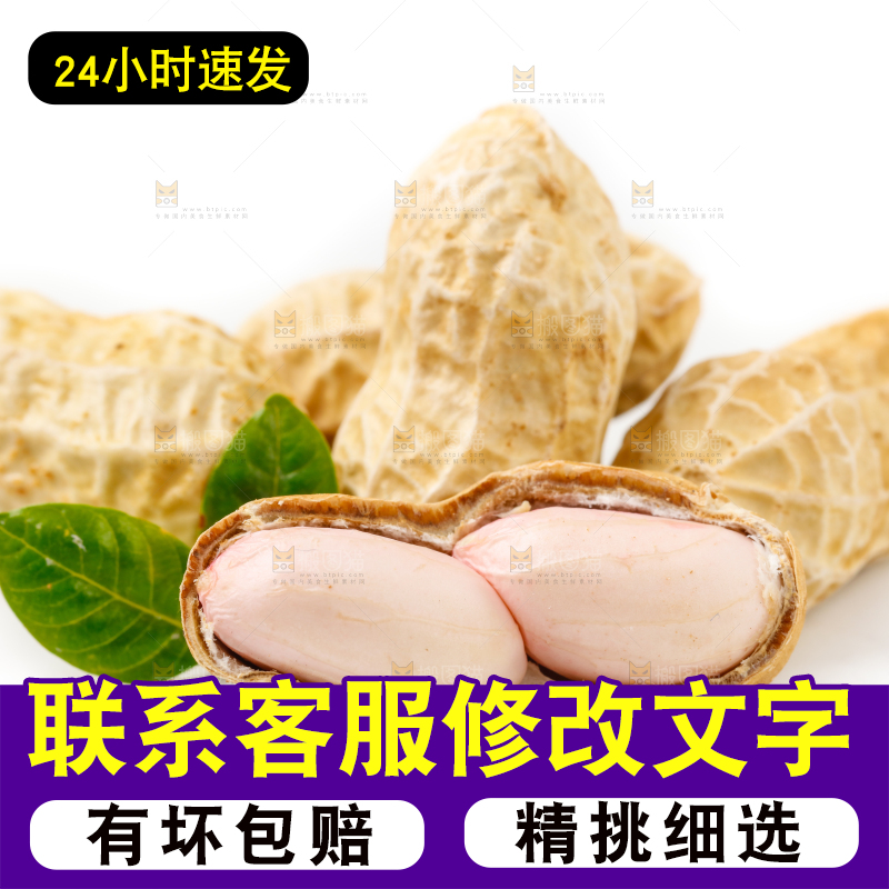 白底上的湿花生和花生米