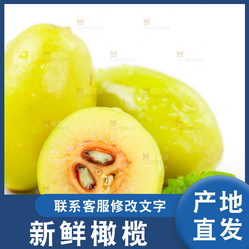白底上的橄榄果