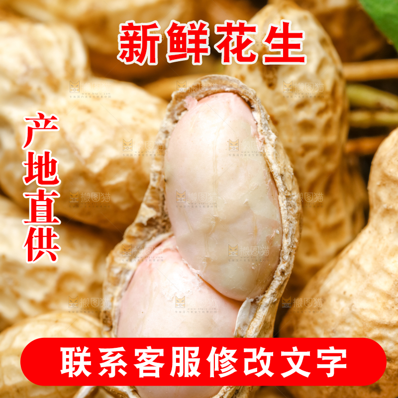 白底上的新鲜花生