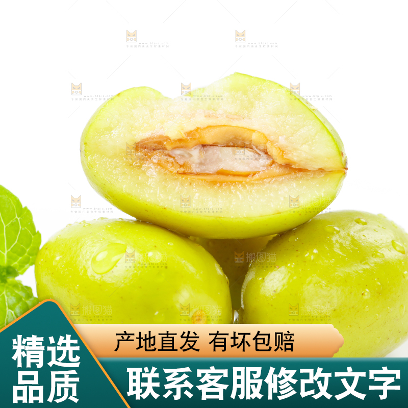 白底上的橄榄果