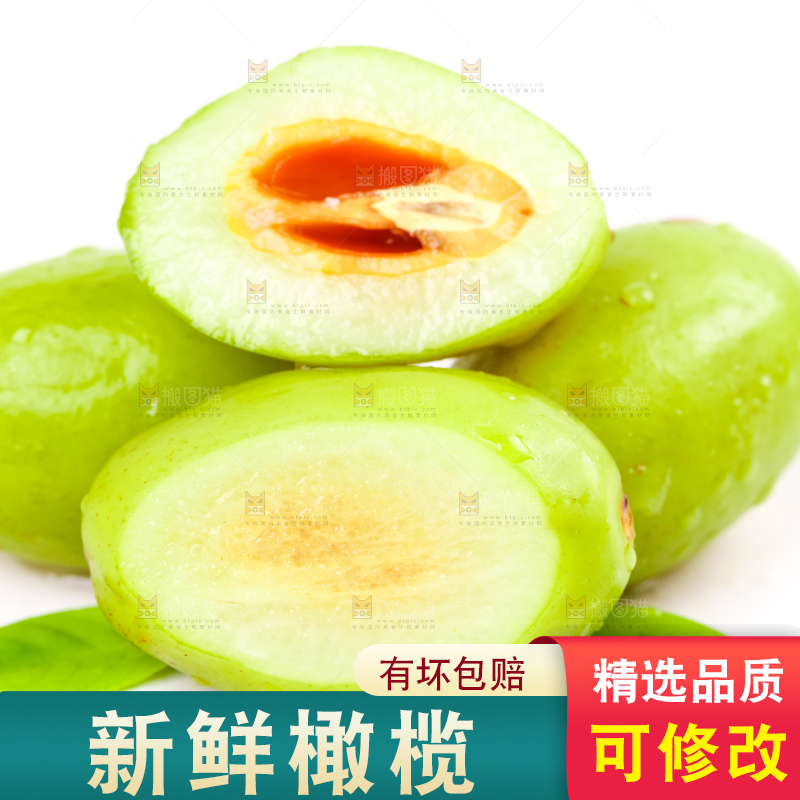 白底上的橄榄果