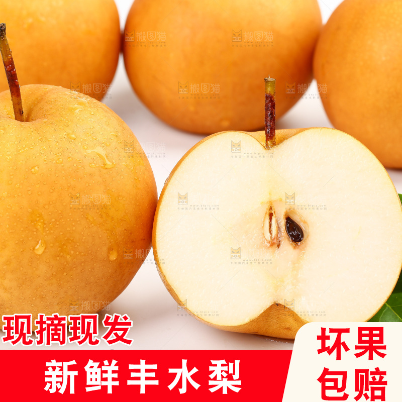 浅底上的丰水梨