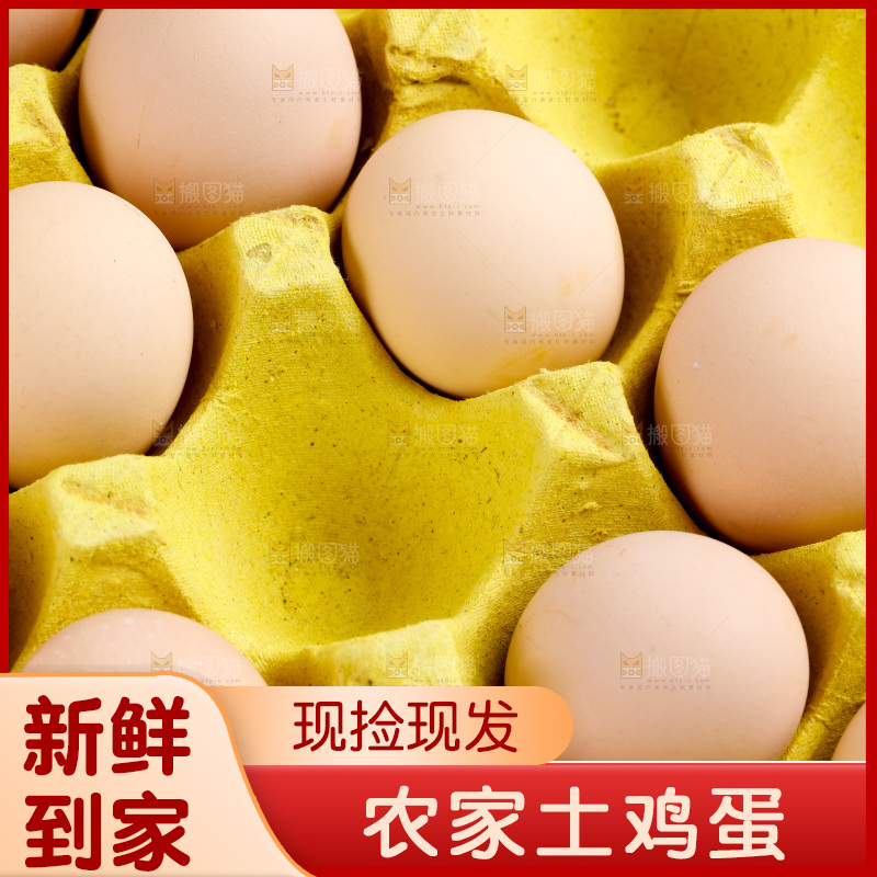 白底上放着新鲜土鸡蛋