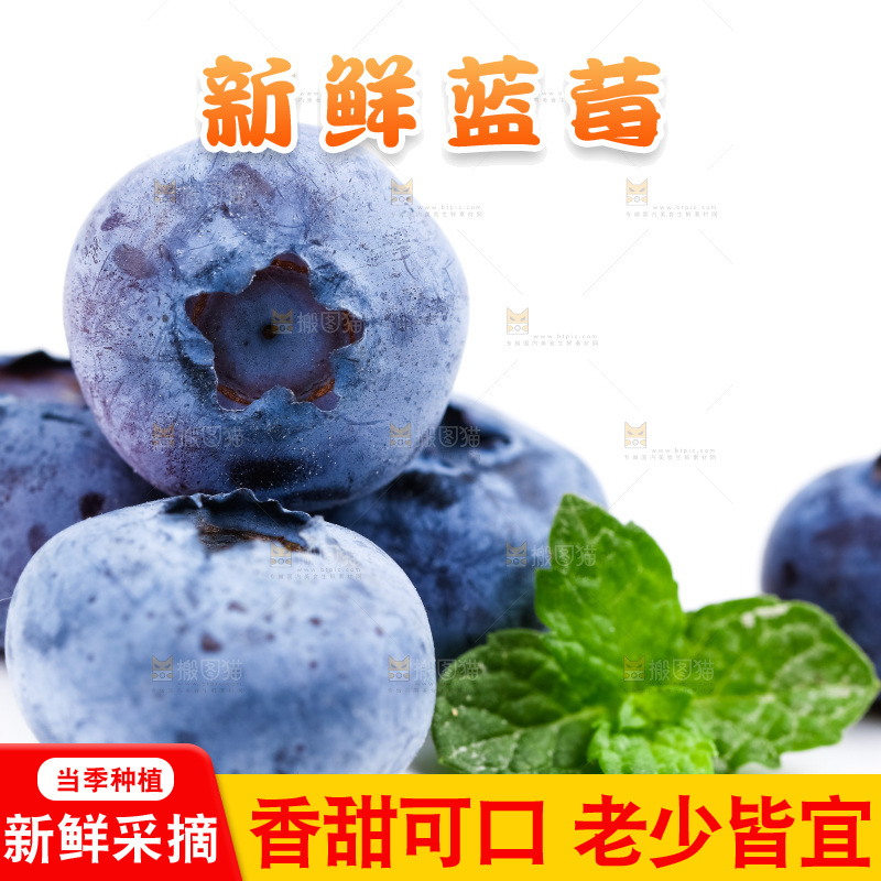 浅底上放着蓝莓果