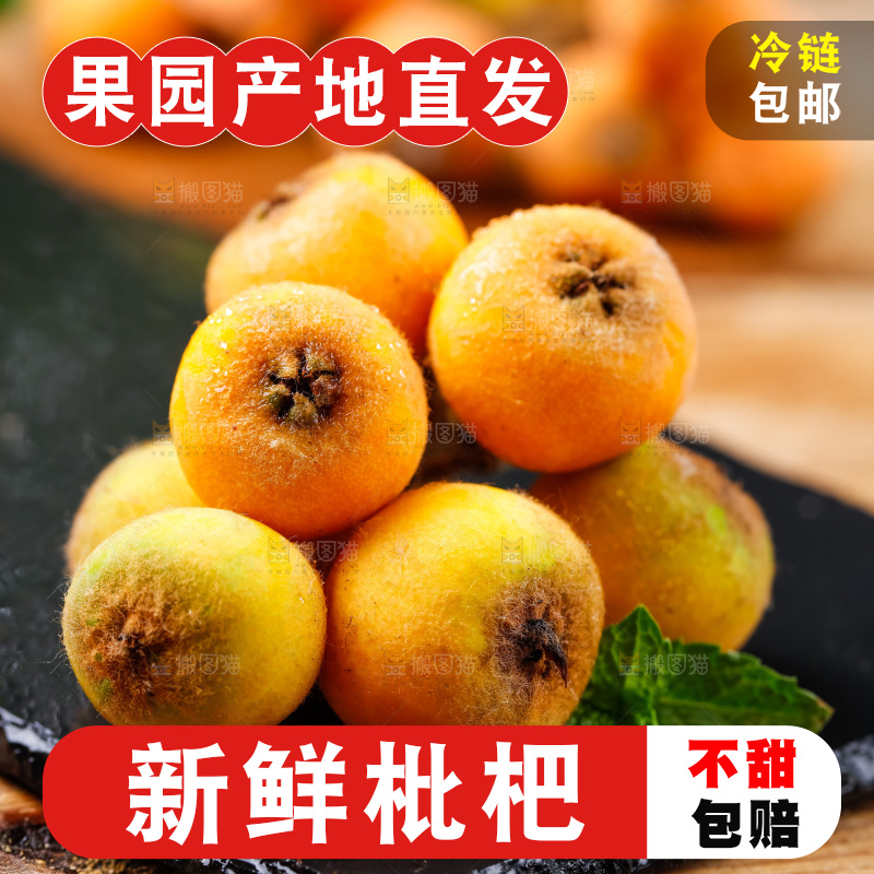 黑石板上放着四川米易枇杷