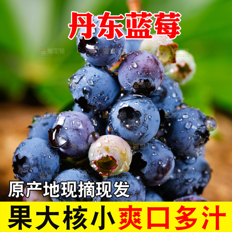 深底上摆放着蓝莓