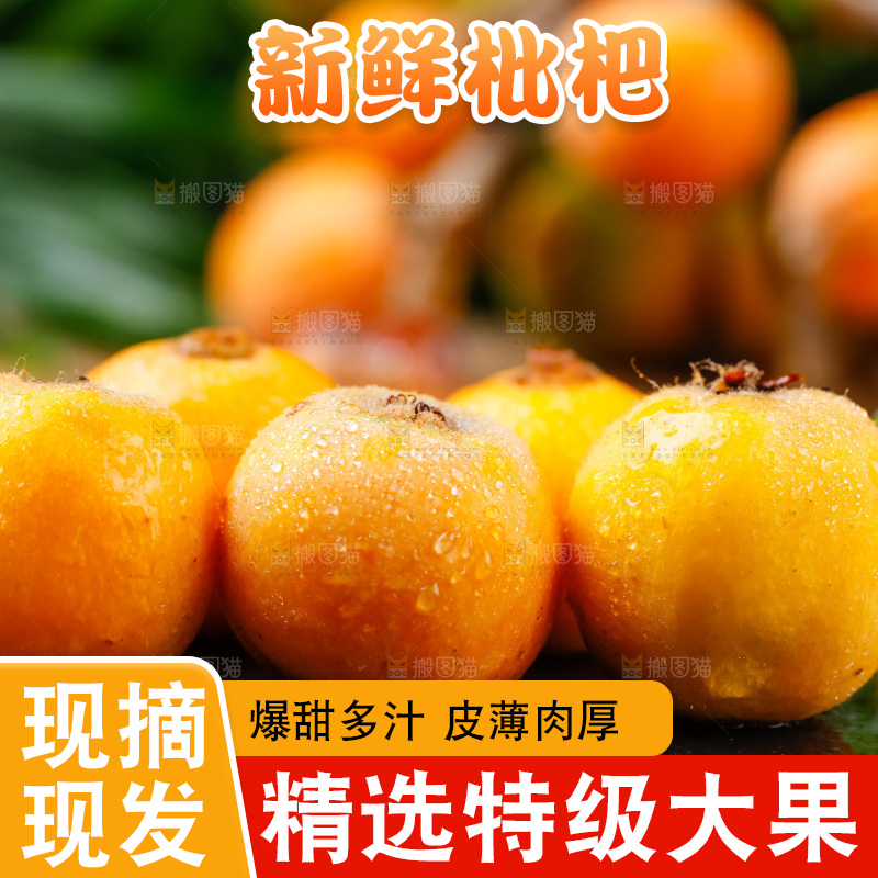 黑石板上放着四川米易枇杷