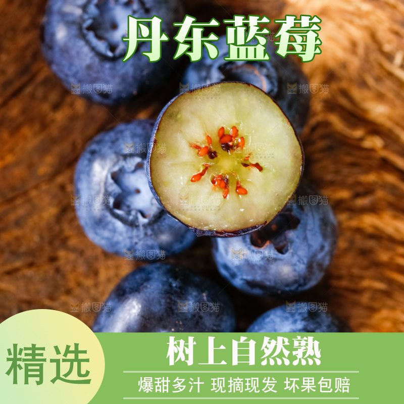 深底上摆放着蓝莓