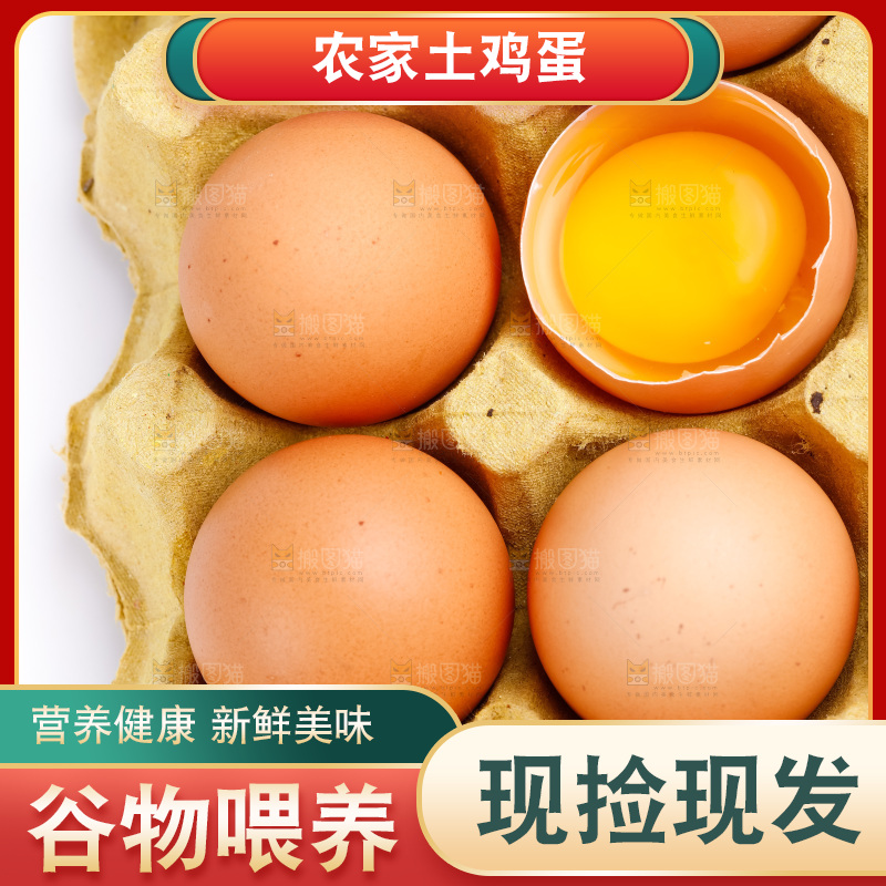 白底上的新鲜鸡蛋