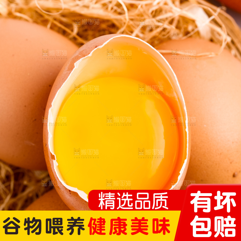 白底上的柴鸡蛋