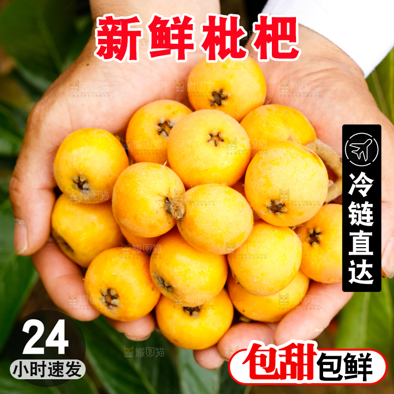 手里捧着枇杷