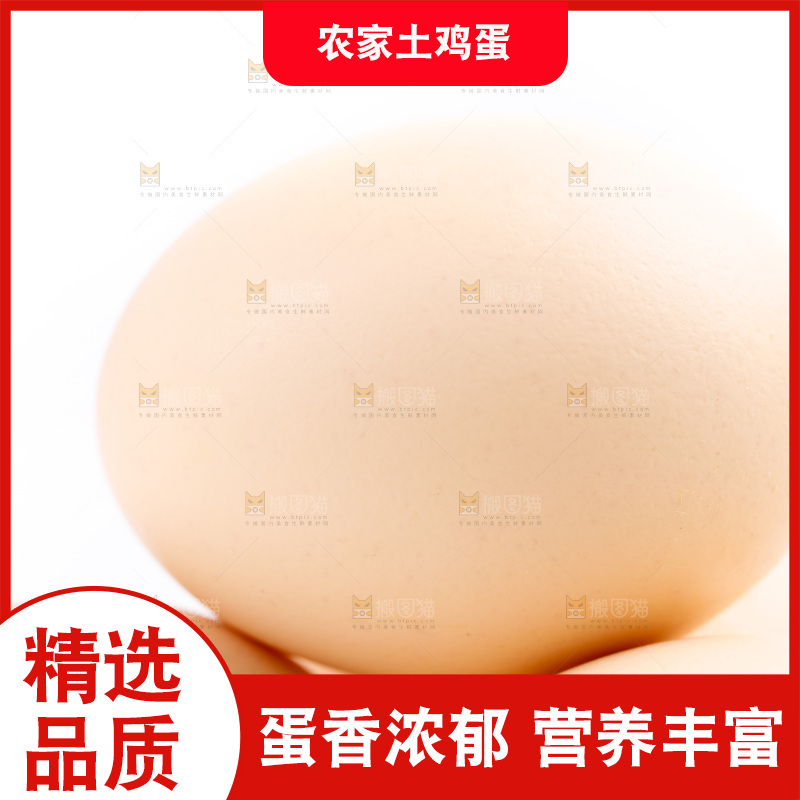 白底上的柴鸡蛋