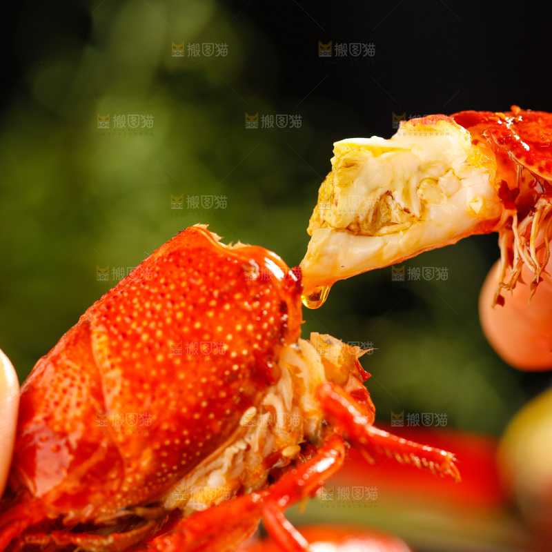 手里拿着小龙虾