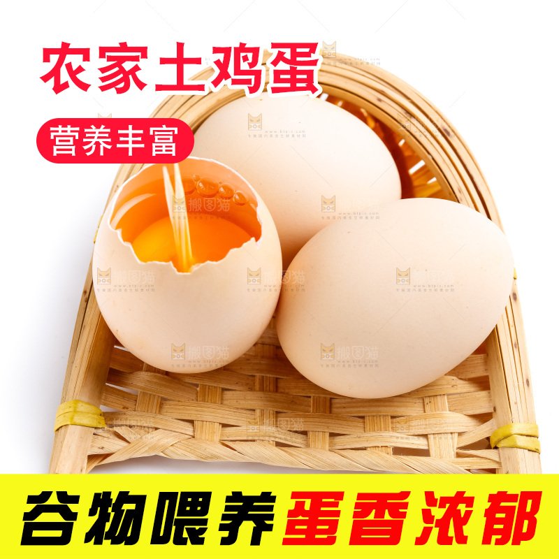 白底上的鸡蛋
