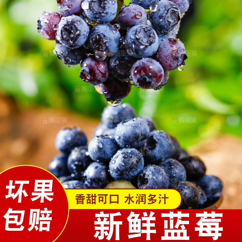 碟子里装着蓝莓果