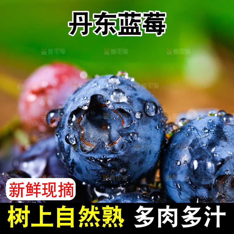 深底上摆放着蓝莓