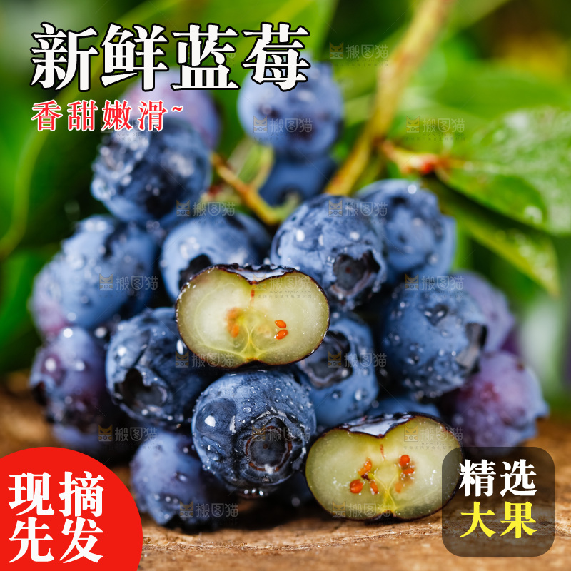木底上放着山东蓝莓鲜果
