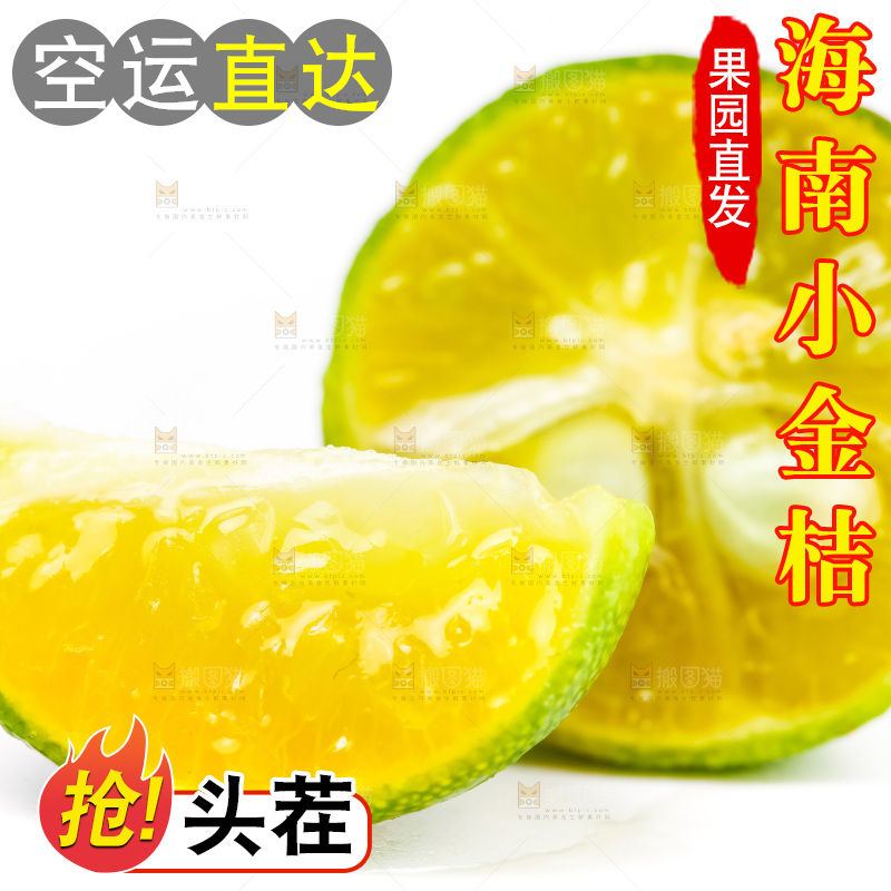 浅底上摆放着小金桔