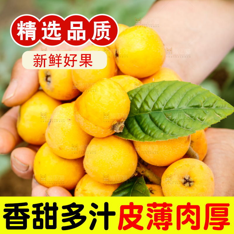 手里捧着新鲜枇杷