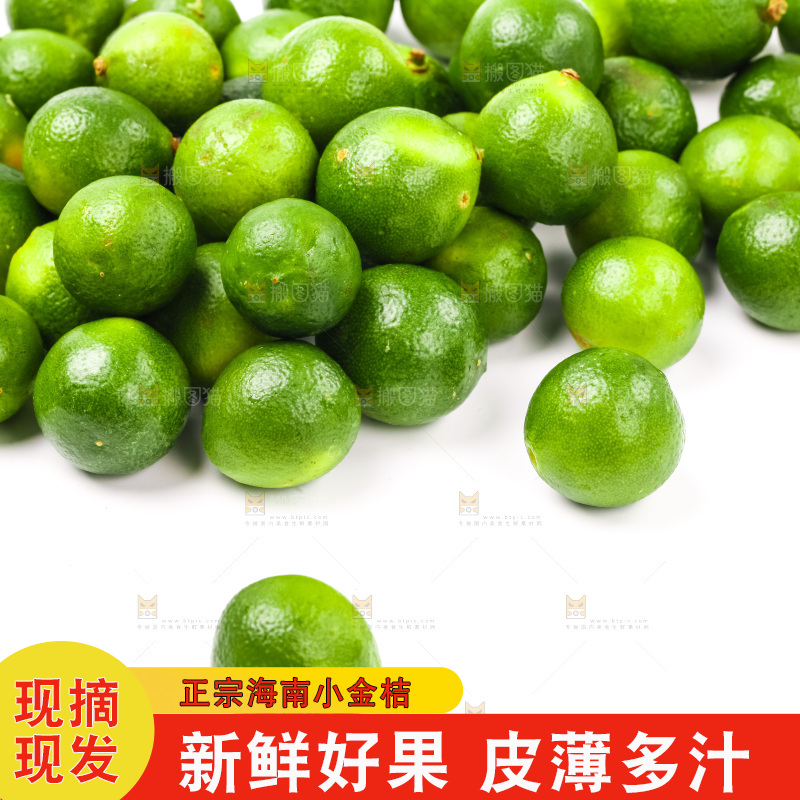 白底上摆放着小金桔