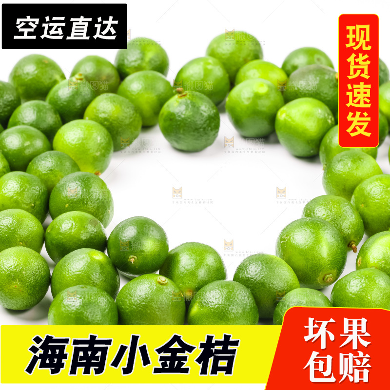 白底上摆放着小金桔