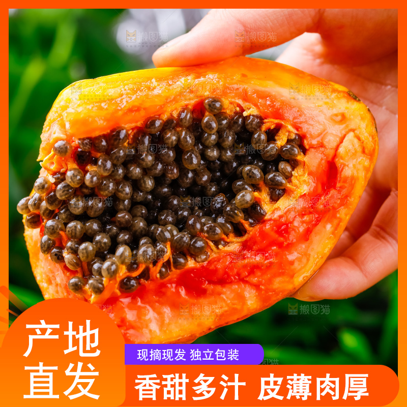手里拿着牛奶木瓜