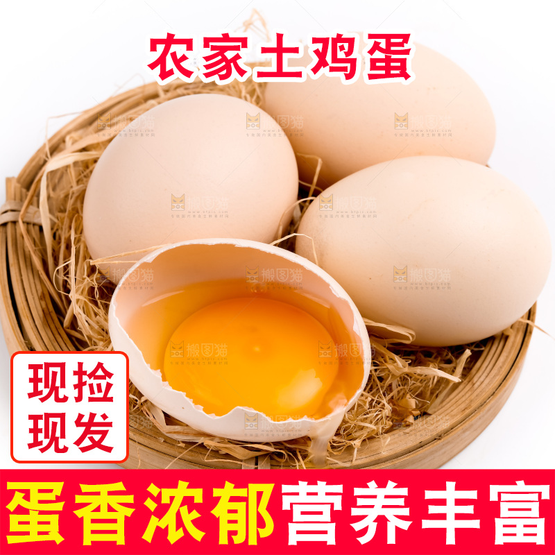 新鲜柴鸡蛋放在白底上