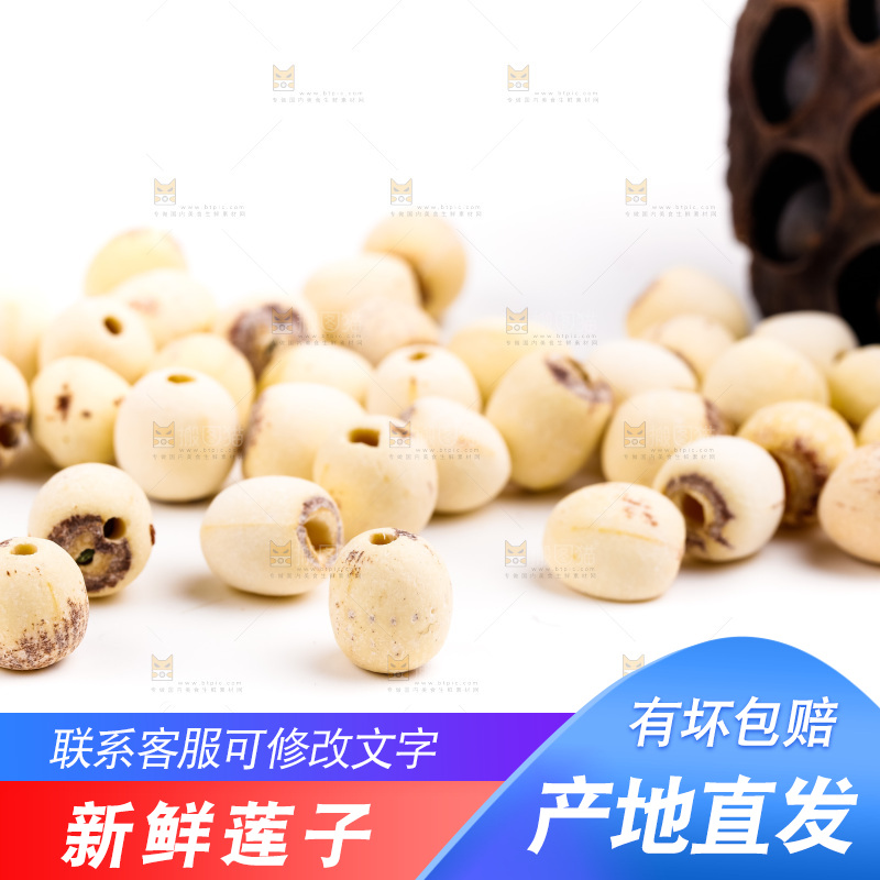 白底上的莲子