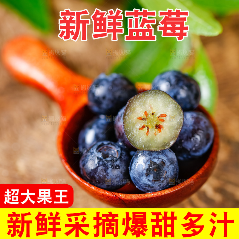 勺子上放着蓝莓鲜果