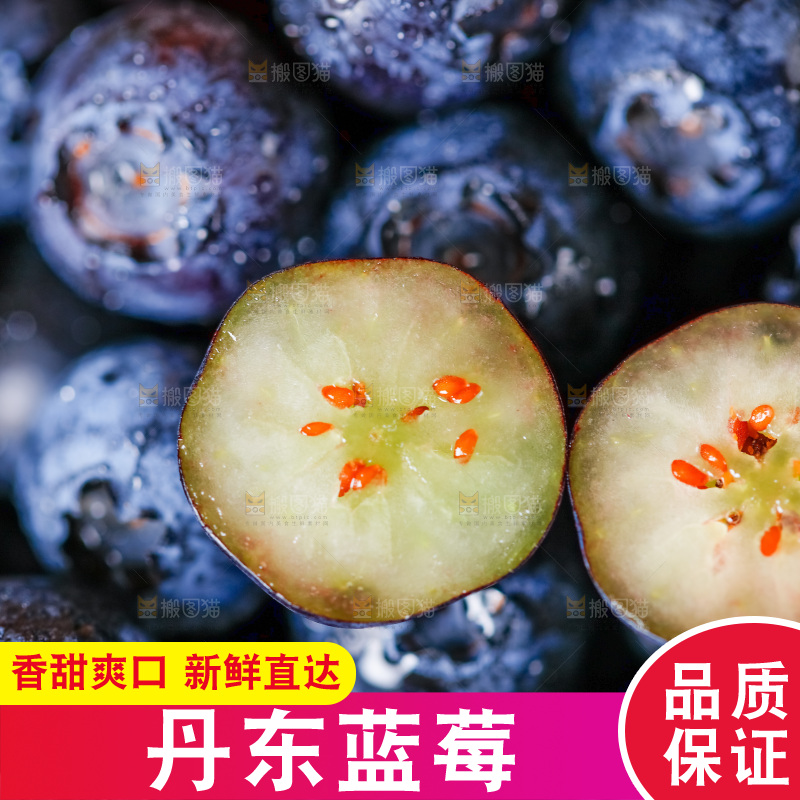 碟子里装着蓝莓