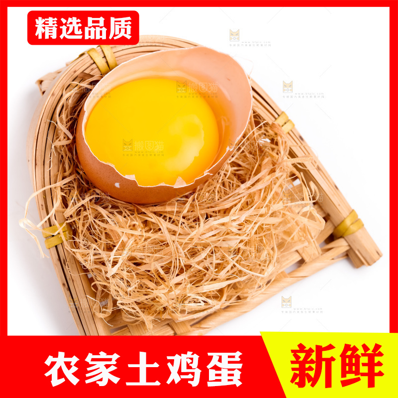 白底上放着散养鸡蛋