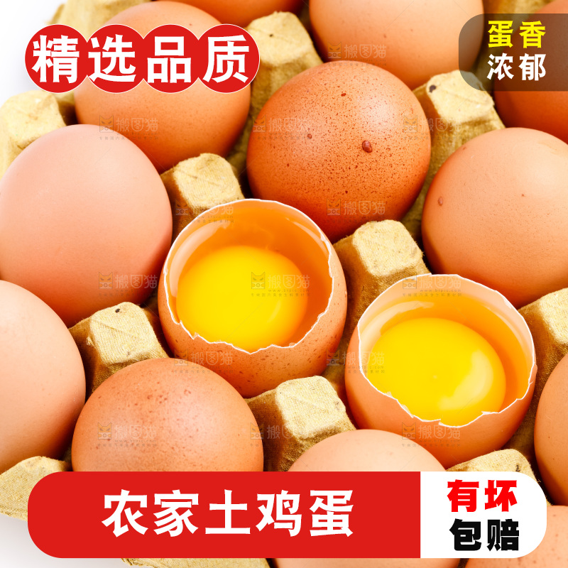 白底上的新鲜鸡蛋