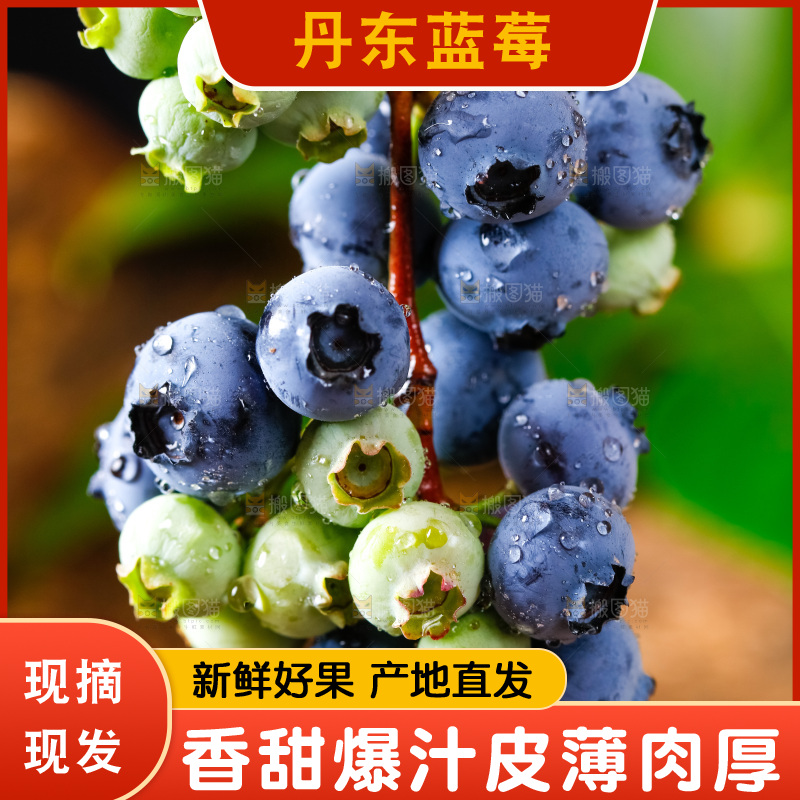 深底上的蓝莓