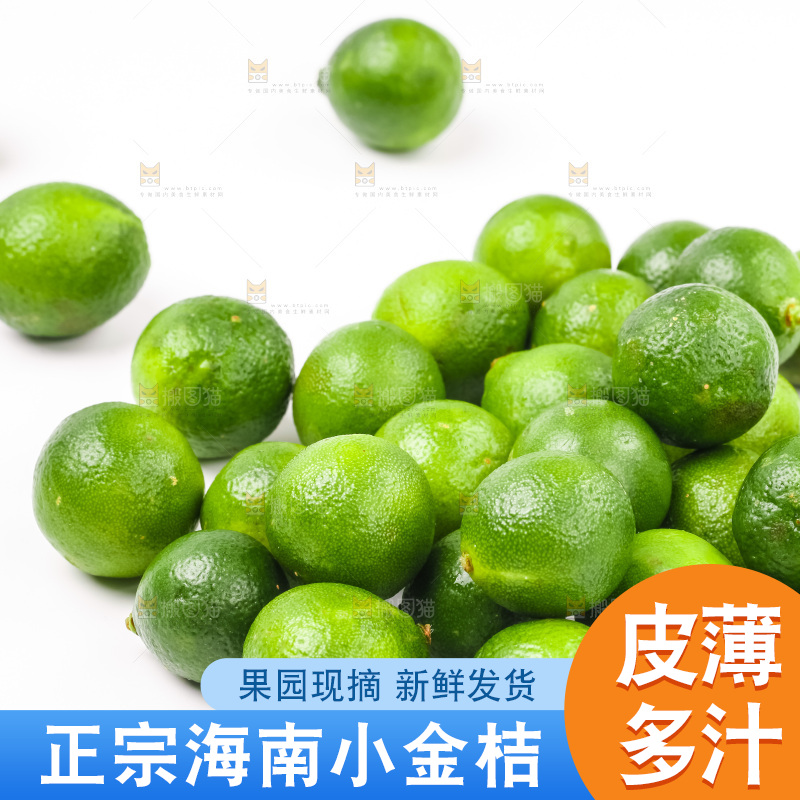 白底上摆放着小金桔