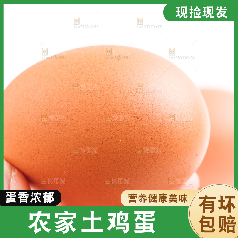 手拿鲜鸡蛋