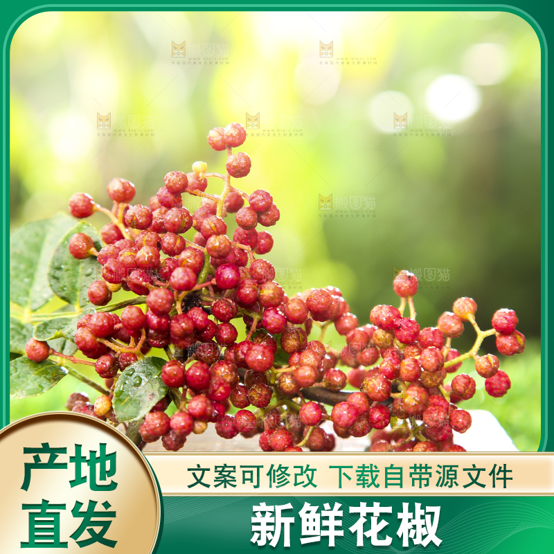户外的红花椒