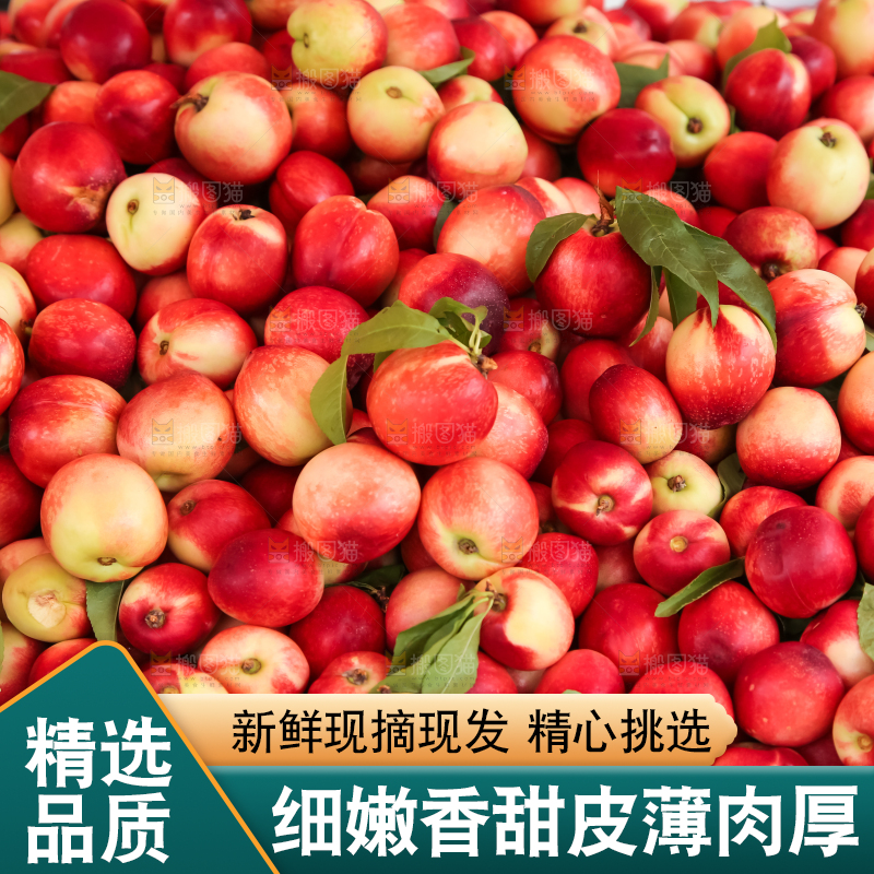 框子里装着油桃